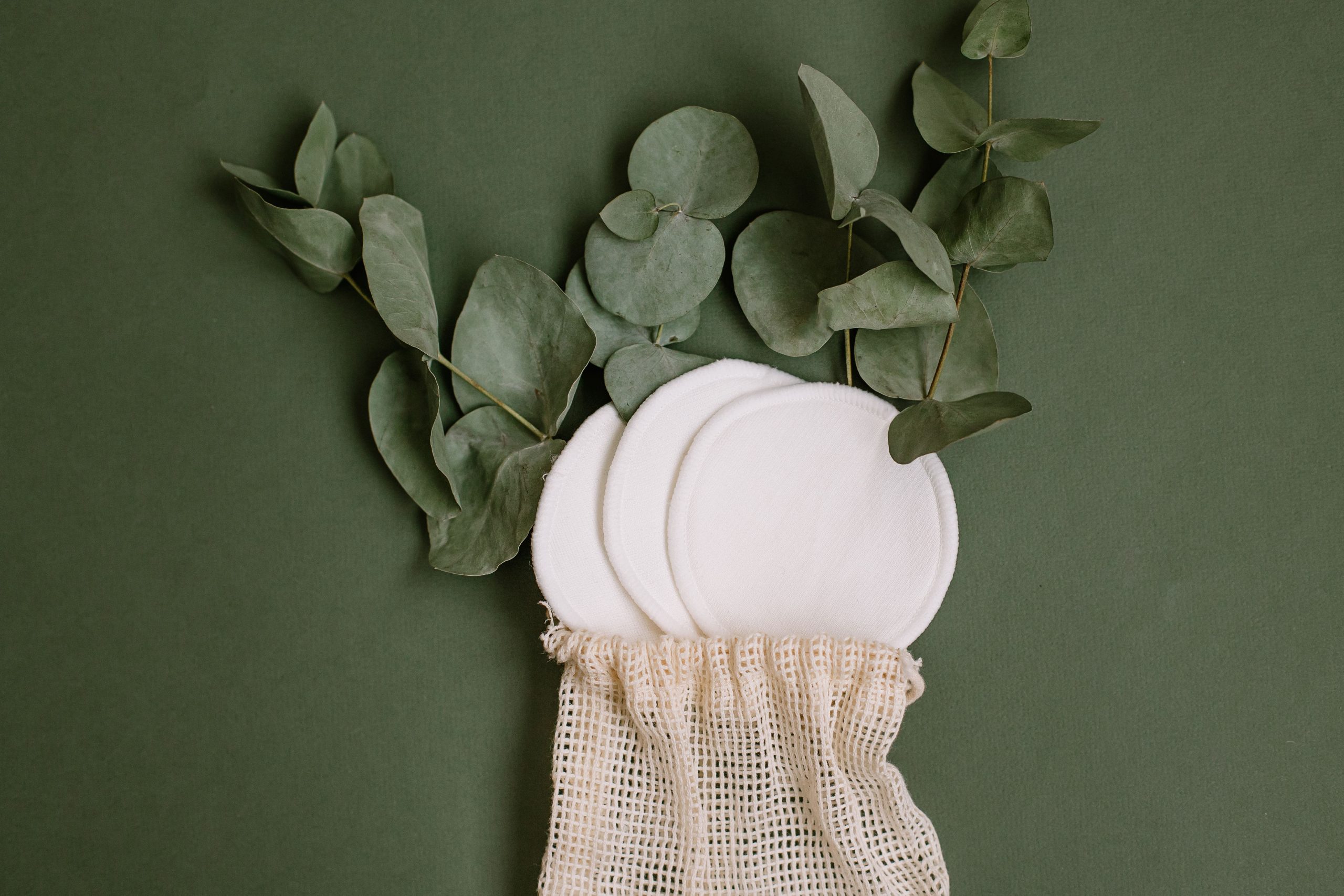 Lingettes coton réutilisables et eucalyptus fond vert